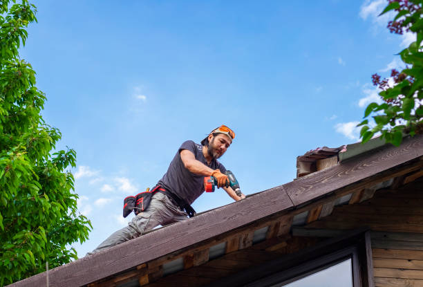 Best Hot Roofs  in Carthage, IL