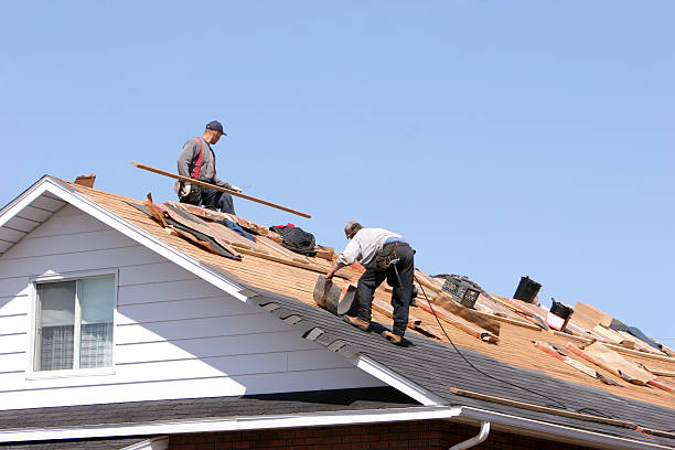 Best Siding Services  in Carthage, IL